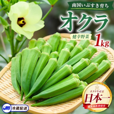 指宿(いぶすき)産オクラ1kg (IB130-004)