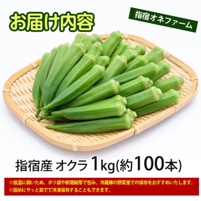 指宿(いぶすき)産オクラ1kg (IB130-004)