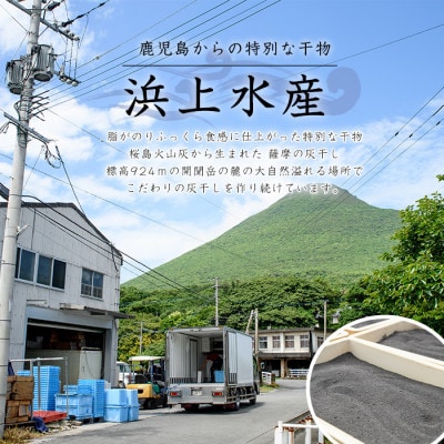 桜島火山灰で鹿児島県産かつおの腹身を一晩熟成 『薩摩の灰干し』かつおの腹身6P(IB038-008)