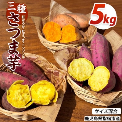 【訳あり】鹿児島県産 さつまいも 3種詰め合わせ 約5kg (IB162-001)