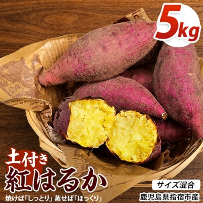 【訳あり】鹿児島県産さつまいも 紅はるか 約5kg (IB162-002)