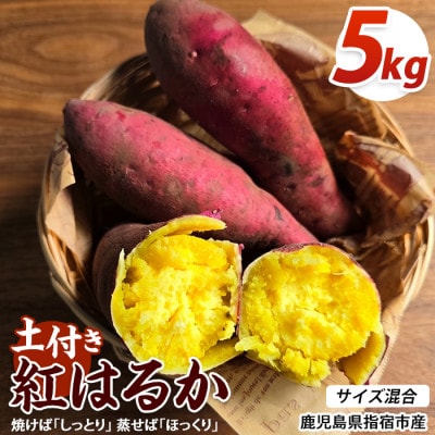 【訳あり】鹿児島県産さつまいも 紅はるか 約5kg (IB162-002)