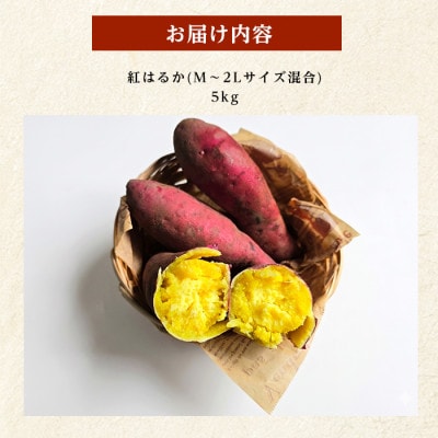 【訳あり】鹿児島県産さつまいも 紅はるか 約5kg (IB162-002)