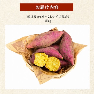 【訳あり】鹿児島県産さつまいも 紅はるか 約5kg (IB162-002)