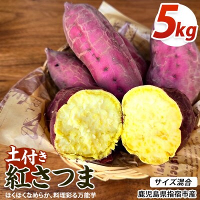 【訳あり】鹿児島県産さつまいも 紅さつま 約5kg (IB162-003)