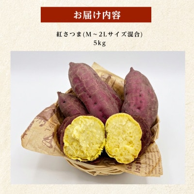 【訳あり】鹿児島県産さつまいも 紅さつま 約5kg (IB162-003)