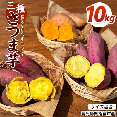 【訳あり】鹿児島県産 さつまいも 3種詰め合わせ 約10kg (IB162-004)