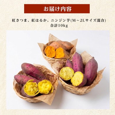 【訳あり】鹿児島県産 さつまいも 3種詰め合わせ 約10kg (IB162-004)