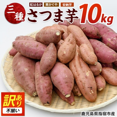【訳あり・不揃い】さつまいも3種(紅はるか・栗かぐや・安納芋)詰合せ10kg(IB084-001)
