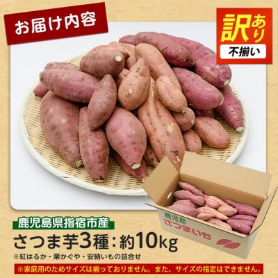 【訳あり・不揃い】さつまいも3種(紅はるか・栗かぐや・安納芋)詰合せ10kg(IB084-001)