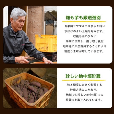 【訳あり・不揃い】さつまいも3種(紅はるか・栗かぐや・安納芋)詰合せ10kg(IB084-001)
