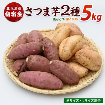 らくと農園のさつまいも2種(栗かぐや・栗こがね)詰合せ約5kg(IB084-002)
