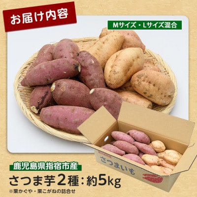 らくと農園のさつまいも2種(栗かぐや・栗こがね)詰合せ約5kg(IB084-002)