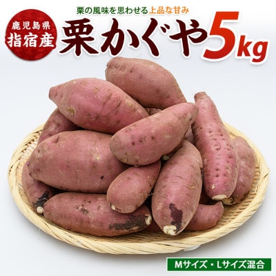 らくと農園の栗かぐや約5kg(IB084-003)