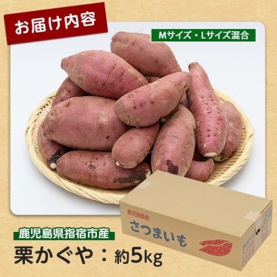 らくと農園の栗かぐや約5kg(IB084-003)