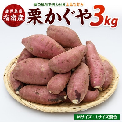 らくと農園の栗かぐや約3kg(IB084-004)