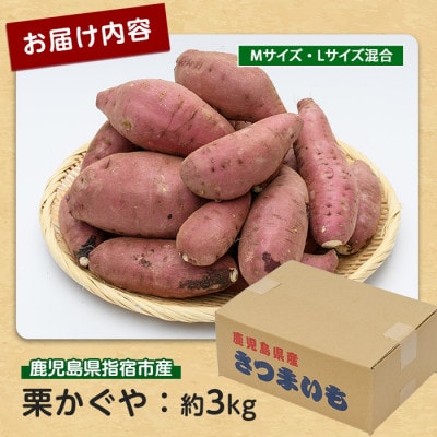 らくと農園の栗かぐや約3kg(IB084-004)