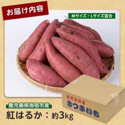 らくと農園の紅はるか約3kg(IB084-007)