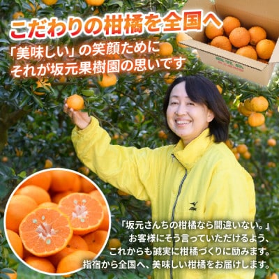 みかん農家坂元さんちの手作りジャム3個セット(無添加・無着色・無香料) (IB043-013)
