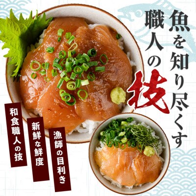 【全3回定期便・隔月】漁師が作った海鮮漬け丼定期便(IBZ035-002)