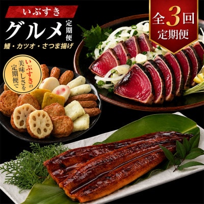 【全3回定期便】鰻・カツオ・さつま揚げ いぶすきグルメ定期便 (IBZ999-021)