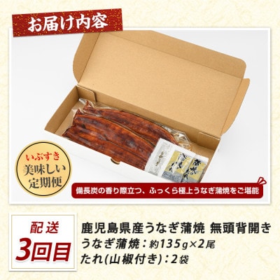 【全3回定期便】鰻・カツオ・さつま揚げ いぶすきグルメ定期便 (IBZ999-021)