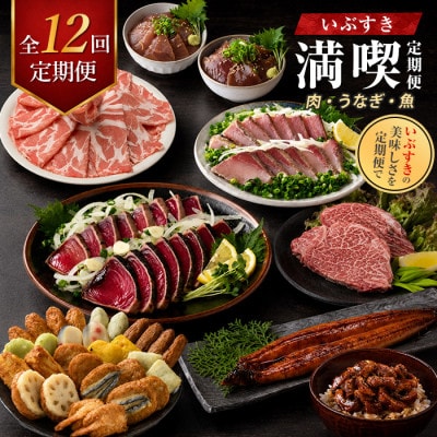 【全12回定期便】肉・うなぎ・魚!いぶすき満喫便 (IBZ999-018)
