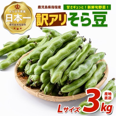 【2027年順次発送】産地直送!新鮮旬野菜!【訳あり】そら豆Lサイズ 約3kg(IB092-006)