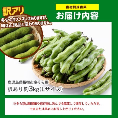 【2027年順次発送】産地直送!新鮮旬野菜!【訳あり】そら豆Lサイズ 約3kg(IB092-006)