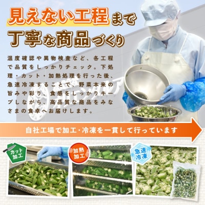 冷凍 そらまめ(500g×2P)・冷凍 オクラスライス(500g×1P)(IB152-007)