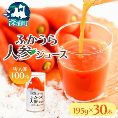 ふかうら人参ジュース195g×30本[No.5296-0015] | ふるさと納税のお礼品