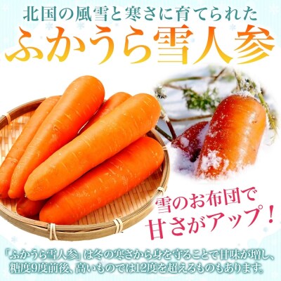 ふかうら人参ジュース195g×60本[No.5296-0016]