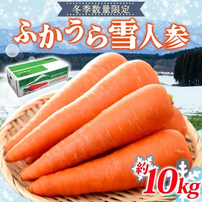 【冬季限定】ふかうら雪人参(10キロ)[No.5296-0010]