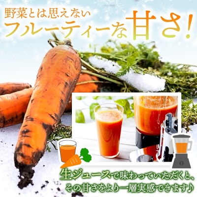 【冬季限定】ふかうら雪人参(10キロ)[No.5296-0010]