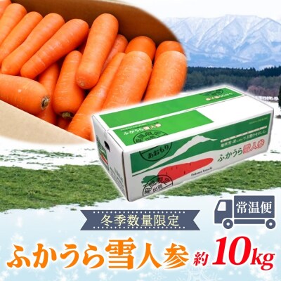 【冬季限定】ふかうら雪人参(10キロ)[No.5296-0010]