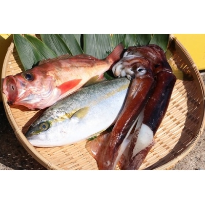 まるごと海鮮セット[No.5296-0001]