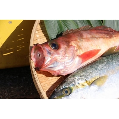 まるごと海鮮セット[No.5296-0001]