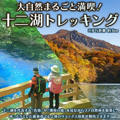 アオーネ白神十二湖　ペア宿泊券(1泊2食付)十二湖トレッキング体験付き[No.5296-0022]