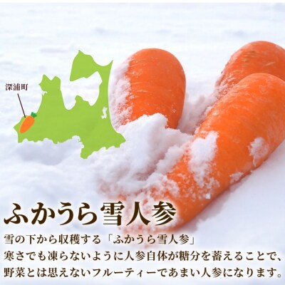 雪人参ビーフシチュー&ミネストローネ8個セット[No.5296-0041]