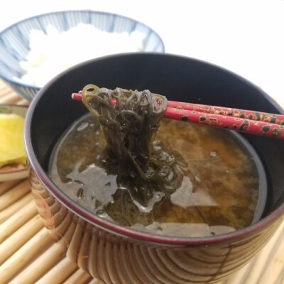 塩蔵もずく8kg[No.5296-0056]