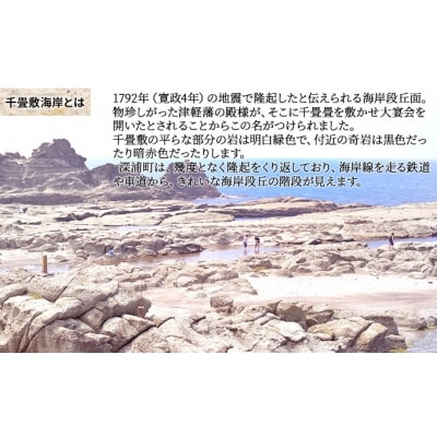 【青森県深浦町】千畳敷センターで使える商品券　9,000円分[No.5296-0060]