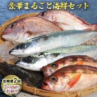 【定期便2回】豪華まるごと海鮮セット[No.5296-0117]