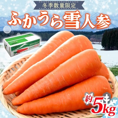 【冬季限定】ふかうら雪人参(5キロ)[No.5296-0176]