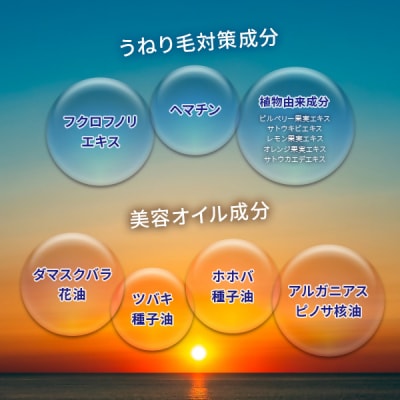 ふかうらつるつるシャンプー&コンディショナーセット ヘアケア ギフト【No.5296-0204】