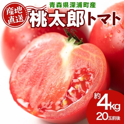 青森県深浦町産 桃太郎トマト 約4kg(20玉前後)【No.5296-0212】