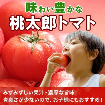 青森県深浦町産 桃太郎トマト 約4kg(20玉前後)【No.5296-0212】