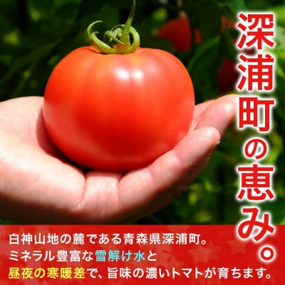 青森県深浦町産 桃太郎トマト 約4kg(20玉前後)【No.5296-0212】