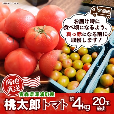 青森県深浦町産 桃太郎トマト 約4kg(20玉前後)【No.5296-0212】