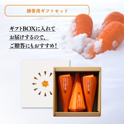 雪人参 ビーフシチュー 220g×3個 ビーフ シチュー ふかうら雪人参 