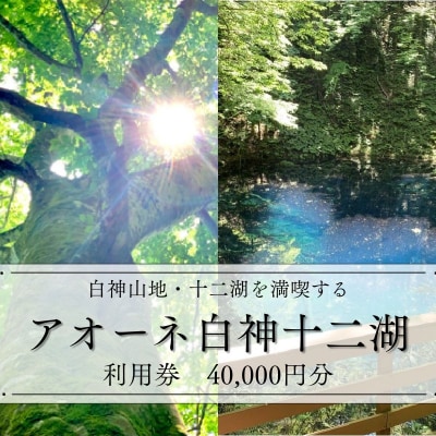 アオーネ白神施設で使える利用券 40,000円分 